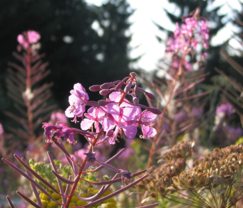 resim_2023-10-02_103136202